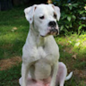 Meet your Posher, Jamie